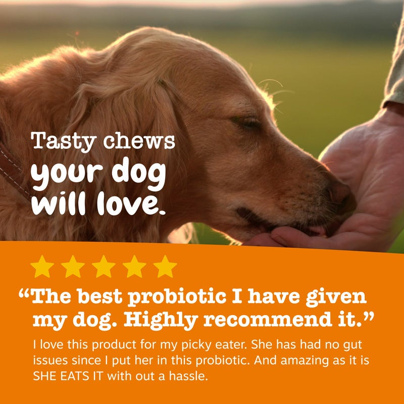 Senior Advanced Probiotic Bites for Dogs, for Gut & Digestive Health, Chicken Flavor 90 Ct Soft Chews
