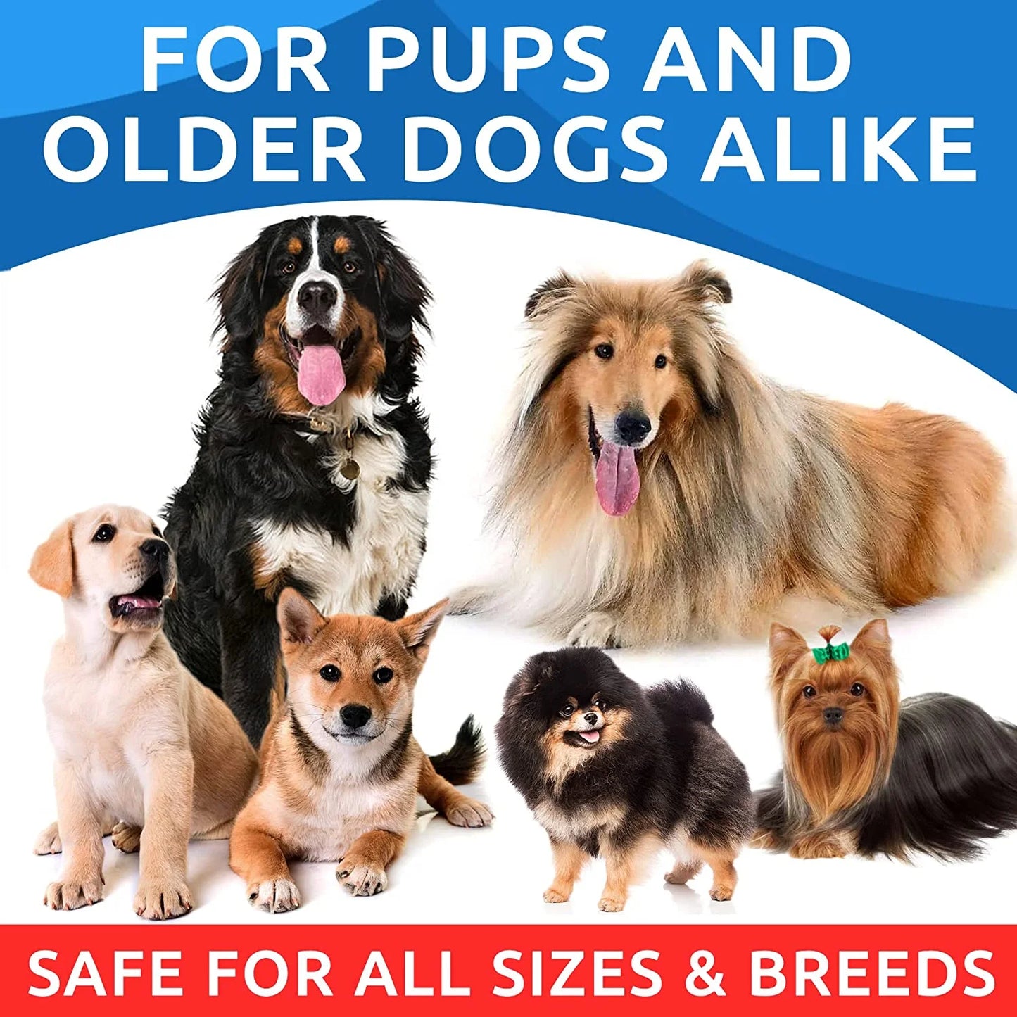 Omega 3 for Dogs - 180 Fish Oil Treats for Dog Shedding, Skin Allergy, Itch Relief, Hot Spots Treatment - Joint Health - Skin and Coat Supplement - EPA & DHA Fatty Acids - Salmon Oil