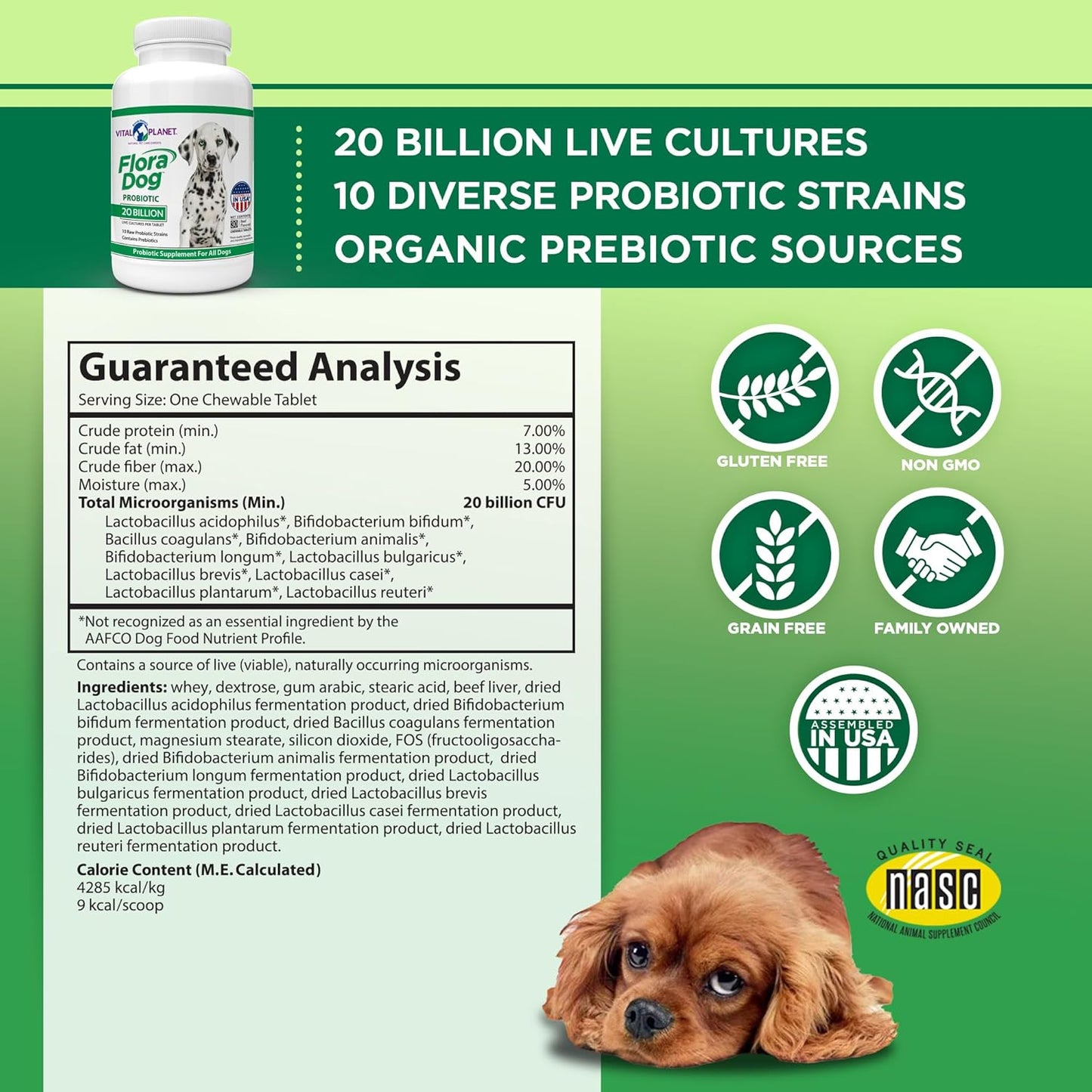 - Flora Dog Probiotic Chewable Tablets Supplement with 20 Billion Cultures and 10 Strains, High Potency Immune and Digestive Support Probiotics for Dogs, 30 Beef Flavored Chewable Tablets