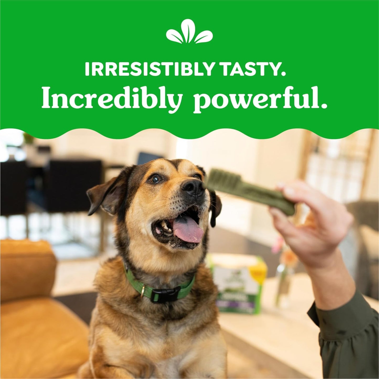 Original Large Dental Dog Treats, 54 Oz. Pack (34 Treats)