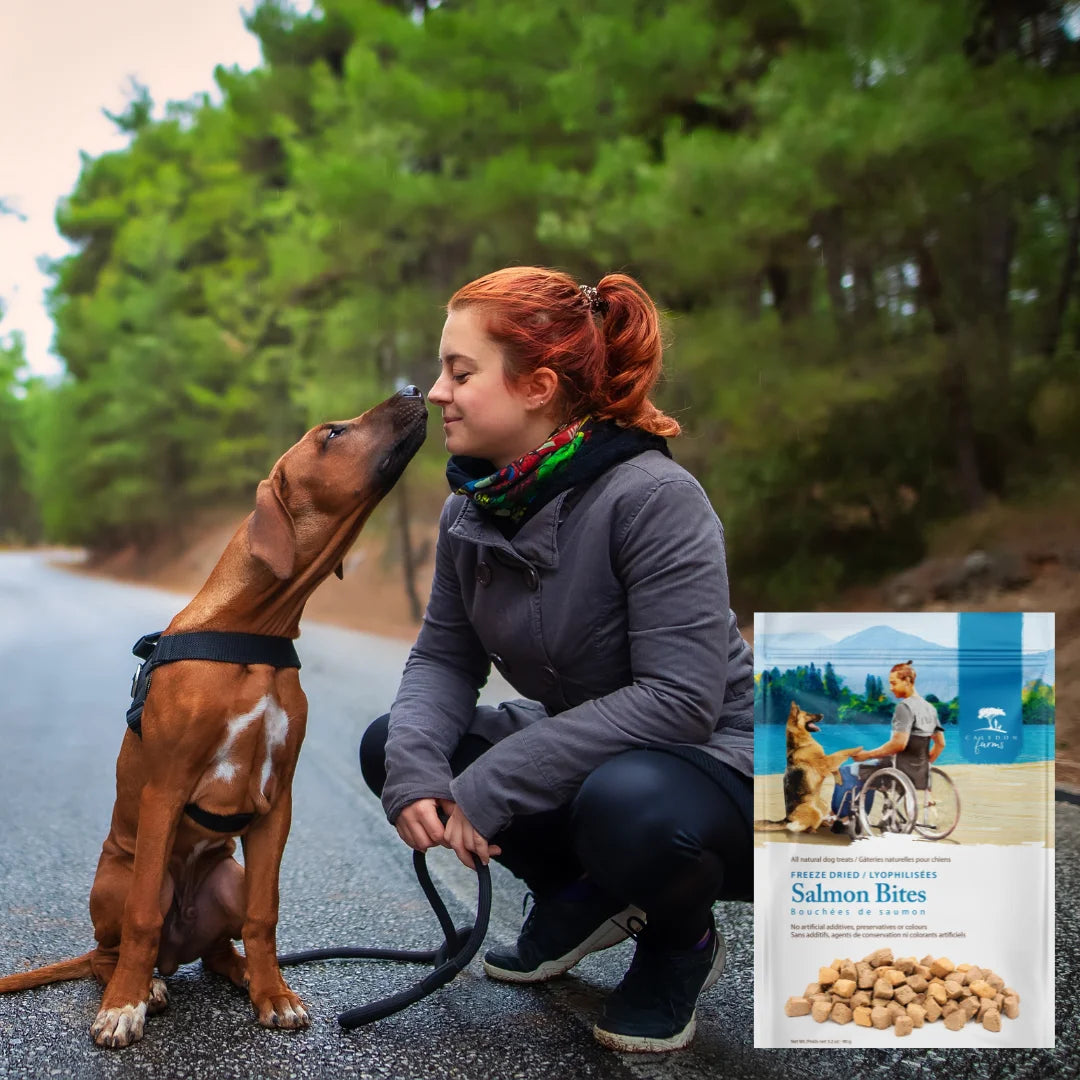 (3 Pack) Salmon Bites Dog Food Topper, 3.2 Oz Bag