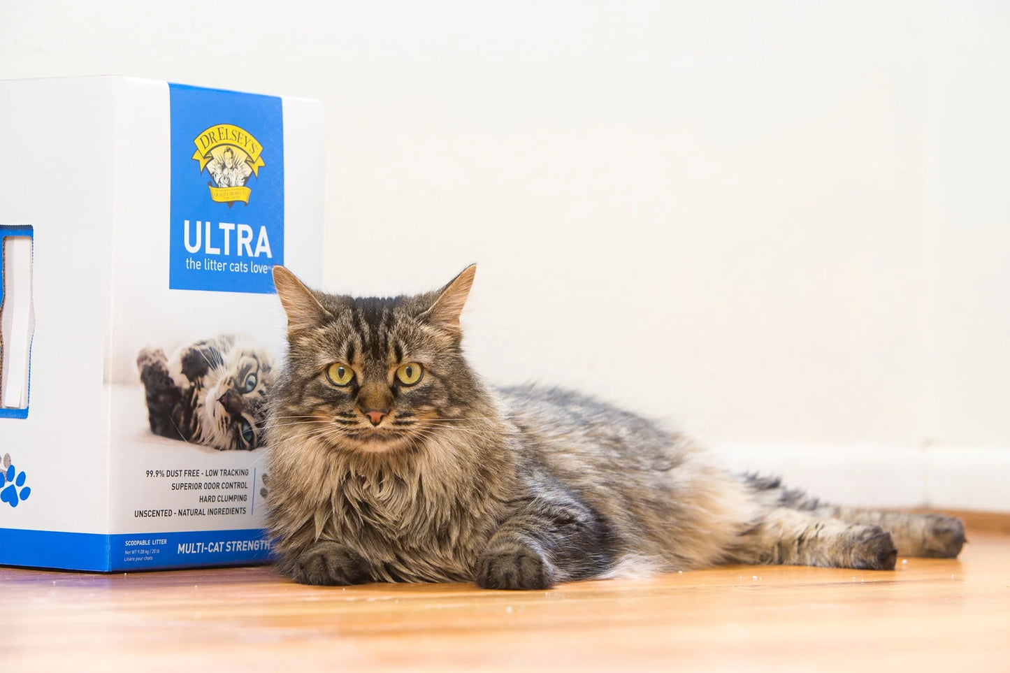 Ultra Clumping Clay Cat Litter, Low Dust, Natural, 20 Lb Box