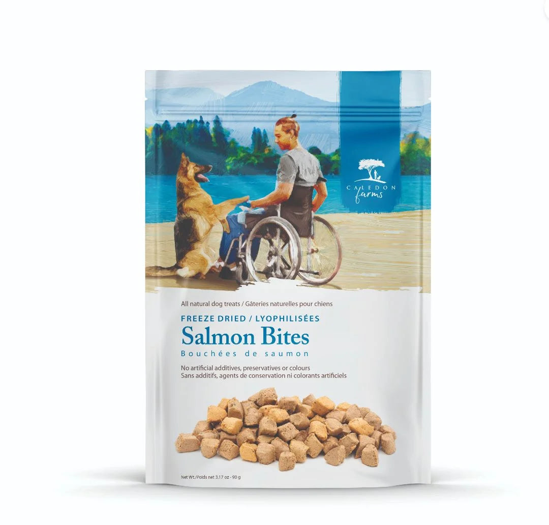 (3 Pack) Salmon Bites Dog Food Topper, 3.2 Oz Bag