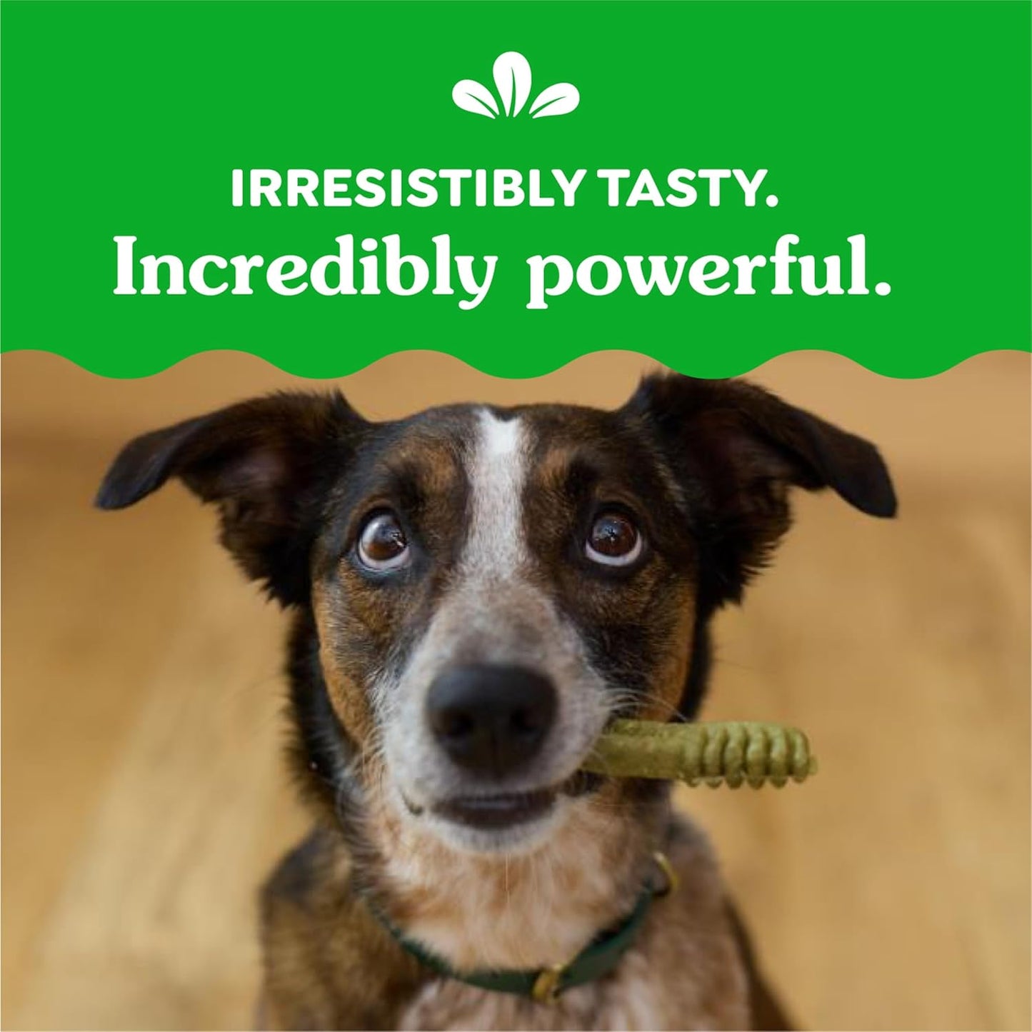 Original Regular Dental Dog Treats, (4) 18 Ct Packs (72 Treats Total)
