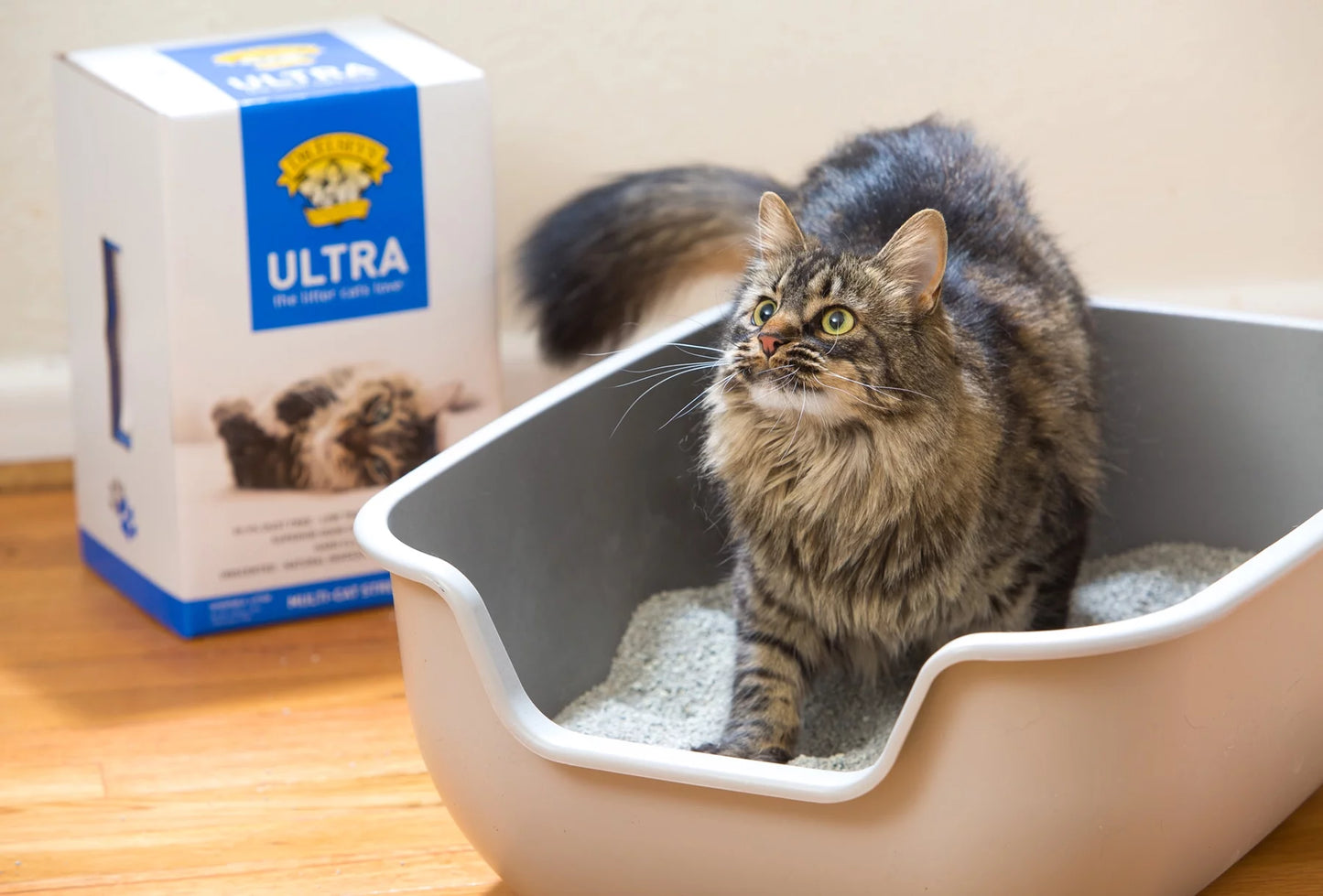 Ultra Clumping Clay Cat Litter, Low Dust, Natural, 20 Lb Box