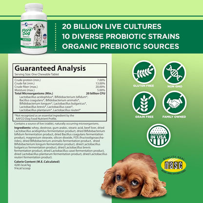 - Flora Dog Probiotic Chewable Tablets Supplement with 20 Billion Cultures and 10 Strains, High Potency Immune and Digestive Support Probiotics for Dogs, 30 Beef Flavored Chewable Tablets