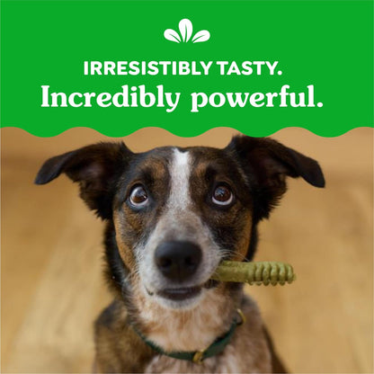 Original Regular Dental Dog Treats, (4) 18 Ct Packs (72 Treats Total)