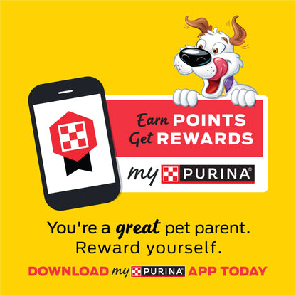 Purina  Strips Dog Treats with Real Bacon & Pizza Flavors Tender Chews, 40 Oz Pouch